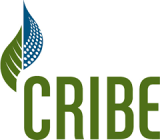 Centre for Research & Innovation in the Bio Economy (CRIBE) logo