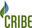 Centre for Research & Innovation in the Bio Economy (CRIBE) logo